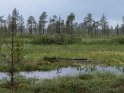 Landschaftsfoto an einem See in Finnland