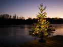 Weihnachtsbaum auf einem Steg am zugefrorenen Wendebachstausee, südlich von Göttingen. Der hell leuchtende Punkt am Himmel, links neben dem Baum, ist die Venus.