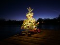 Weihnachtsbaum mit darunter liegenden Geschenken auf einem Steg am zugefrorenen Wendebachstausee, südlich von Göttingen. Der hell leuchtende Punkt am Himmel, links neben dem Baum, ist die Venus.