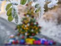 Reifbedeckte Blätter im Vordergrund mit einem unscharfen Weihnachtsbaum im Hintergrund, der trotzdem gut zu erkennen ist. Der Weihnachtsbaum ist von zahlreichen Geschenken umgeben und die einzelnen Lichter liefern durch die Unschärfe schöne Leuchteffekte.