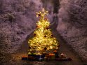 Ein leuchtender Weihnachtsbaum steht mit darunter liegenden Geschenken auf einem Weg, der von reifbedeckten Bäumen und Sträuchern umgeben ist.