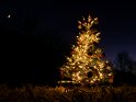 Dieser Weihnachtsbaum steht bei Nacht auf einer reifüberzogenen Wiese und beleuchtet seine Umgebung. Oben links im Bild ist der Mond zu sehen.