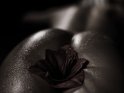 Erotisches Foto mit einer Amaryllis-Blüte