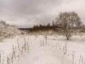Winterlandschaft im Gttinger Wald am Rand zum Kerstlingerder Feld