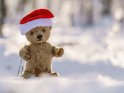 Teddybr mit Weihnachtsmtze im Schnee