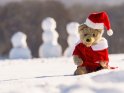 Weihnachtsteddybr mit Schneemnnern im Hintergrund 
 
Dieses Motiv findet sich seit dem 09. Dezember 2017 in der Kategorie Weihnachtsbilder.