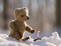 Teddybär mit einem Kuchen mit einer brennenden Kerze im Schnee