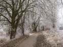 Von reifbedeckten Büschen und Bäumen gesäumter Weg im südlichen Niedersachsen