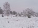 Mit Reif überzogene Bäume auf dem tief verschneiten Kerstlingeröder Feld im Göttinger Wald.