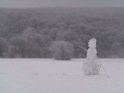 Schneemann mit weißem Wald im Hintergrund