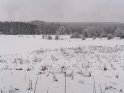 Foto vom winterlichen Kerstlingerder Feld im Gttinger Wald