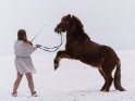 Frau im weißen Kleid macht Kunststücke mit einem Pony im Schnee