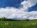 Frühlingswiese mit dramatischen Wolken
