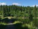 Am Prinzen-Teich in der Nähe von Clausthal-Zellerfeld im Harz