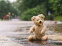 Teddybär sitzt im Regen auf einem teilweise überfluteten Zebra-Streifen. Im Hintergrund fließt die über die Ufer getretene Leine über die Straße.