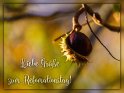 Liebe Gre zum Refomationstag! 
 
Dieses Motiv finden Sie seit dem 31. Oktober 2017 in der Kategorie Reformationstag (31.10 in D&).