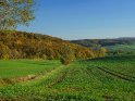 Herbstliche Landschaft im sdlichen Niedersachsen