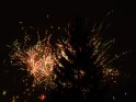 Feuerwerk hinter einem Nadelbaum