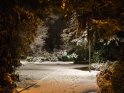 Nächtlicher Blick in den verschneiten Cheltenhampark in Göttingen