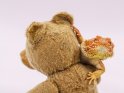 Bartagame klettert auf einen alten Teddybär