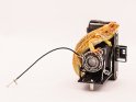 Bartagame klettert auf einen antiken Fotoapparat