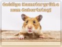 Goldige Hamstergre zum Geburtstag! 
 
Dieses Motiv wurde am 20. Mai 2018 in die Kategorie Geburtstagskarten fr Tierfreunde eingefgt.