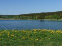 Pixelhaier Teich im Harz bei Buntenbock im Mai