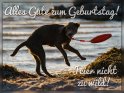 Alles Gute zum Geburtstag! 
Feier nicht zu wild! 
 
Dieses Kartenmotiv ist seit dem 06. Oktober 2018 in der Kategorie Geburtstagskarten fr Hundefans.