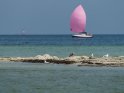 Sandbank mit Möwen einem Segelboot und einem Leuchtturm im Hintergrund