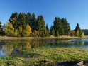 Herbst am Sumpf-Teich bei Buntenbock