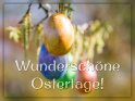 Wunderschne Ostertage! 
 
Dieses Motiv befindet sich seit dem 17. April 2019 in der Kategorie Osterkarten.