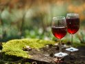 Dieses Kartenmotiv wurde am 21. April 2020 neu in die Kategorie Wein, Weinreben und Weintrauben aufgenommen.
