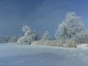 Schneebedeckter Kiessee in Göttingen im Winter bei Raureif