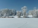 Schneebedeckter Kiessee in Göttingen im Winter bei Raureif 
 
Dieses Motiv wurde am 28. Januar 2022 in die Kategorie Reif und Raureif eingefügt.