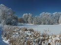 Schneebedeckter Kiessee in Göttingen im Winter bei Raureif