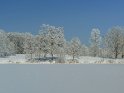 Schneebedeckter Kiessee in Göttingen im Winter bei Raureif 
 
Dieses Motiv ist am 08.01.2022 neu in die Kategorie Reif und Raureif aufgenommen worden.