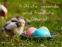 Fröhliche, gesunde und friedliche Ostern!