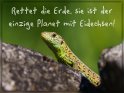 Rettet die Erde, sie ist der einzige Planet mit Eidechsen! 
 
Dieses Motiv findet sich seit dem 26. Juni 2022 in der Kategorie Rettet die Erde, Sie ist der einzige Planet mit ....