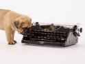 Retro Mops Welpe mit einer alten Schreibmaschine 
 
Dieses Motiv befindet sich seit dem 10. August 2022 in der Kategorie Hunde.