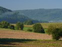Nebelschwaden im Werratal mit dem Vordergrund und dem von links ins Bild fließenden Wald in Niedersachsen und dem Hintergrund sowie die Felder in der Mitte in Hessen. 
 
Dieses Motiv findet sich seit dem 29. August 2022 in der Kategorie Süd-Niedersachsen.