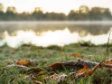 Mit Reif überzogene Blätter und Gras im Vordergrund vor einem See mit Nebelschwaden zum Tagesbeginn.