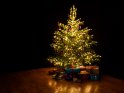 Dieses Bild wurde am 02.12.2021 fotografiert und am 09.12.2022 in der Kategorie Weihnachtsbäume veröffentlicht.