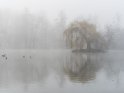 Nebel über dem großen Teich im Levinschen Park in Göttingen