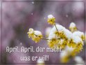 April, April, der macht, was er will! 
 
Dieses Motiv finden Sie seit dem 01. April 2022 in der Kategorie Erster April.