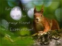Rettet die Erde, sie ist der einzige Planet mit Eichhörnchen! 
 
Dieses Motiv ist am 24.07.2022 neu in die Kategorie Rettet die Erde, Sie ist der einzige Planet mit ... aufgenommen worden.