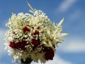 Blumenstrauß mit roten Rosen, Chrysanthemen, Prachtspieren und Schleierkraut 
 
Dieses Motiv finden Sie seit dem 29. Mai 2022 in der Kategorie Blumensträuße.