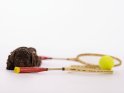 Goldendoodle Welpe mit Tennisschlägern und -ball