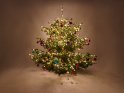 Weihnachtsbaum mit altem Baumschmuck und den davor liegenden Resten einer kaputten Kugel. 
 
Dieses Motiv ist am 28.11.2023 neu in die Kategorie Weihnachtsbäume aufgenommen worden.