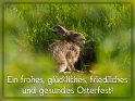 Ein frohes, glckliches, friedliches und gesundes Osterfest! 
 
Dieses Motiv ist am 30.03.2024 neu in die Kategorie Tierische Osterkarten aufgenommen worden.