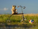 Alter Teddybär auf einem antiken Dreirad und einem daneben liegenden bunten Ball.